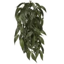 Exo Terra Ruscus lille