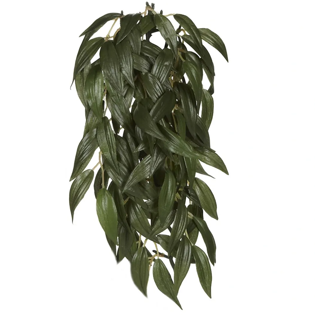 Exo Terra Ruscus lille