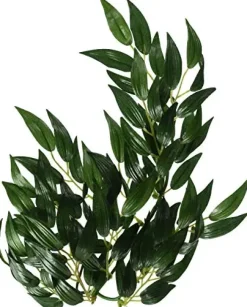 Exo Terra Ruscus medium
