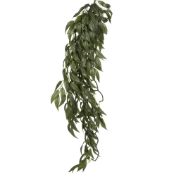 Exo Terra Ruscus stor