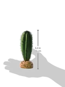 Exo Terra Saguaro kaktus