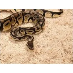 Exo Terra Snake Bedding 8,8 L