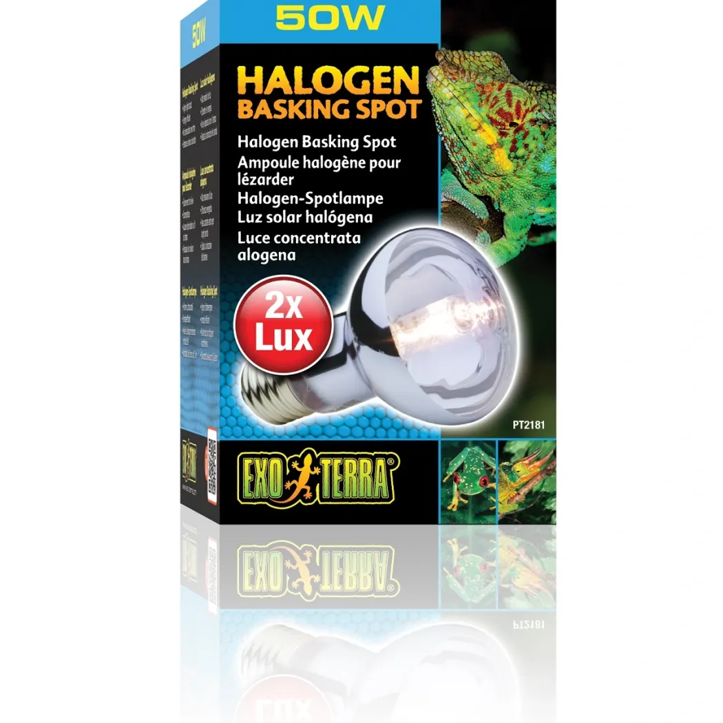 Exo Terra Sun Glo Halogen 50 w