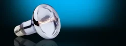 Exo Terra Sun Glo Halogen 150 watt