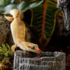 Exoterra Tiki vandskål 8x8x3 cm