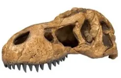 Exo Terra T-REX Kranie