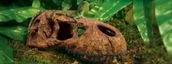 Exo Terra T-REX Kranie