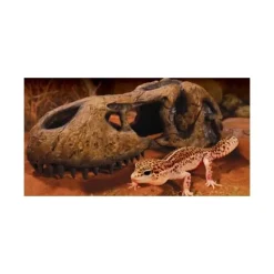 Exo Terra T-REX Kranie