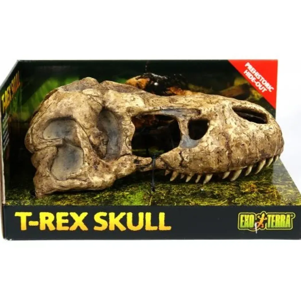Exo Terra T-Rex kranie lille
