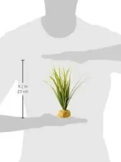 Exo Terra Turtle Grass
