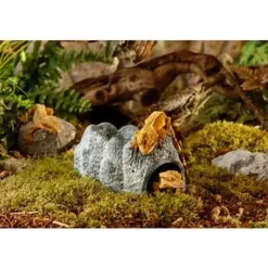 Exo terra Wet Rock Keramisk hule L 20X13X11 cm