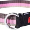 EzyDog Halvkvæler Halsbånd Candy XL 56-83 cm