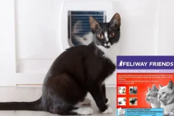 Feliway Friends diffusor med flaske 48 ml