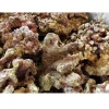 Fiji Levende sten 1 kg