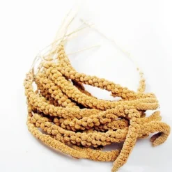 Franske Gule Hirsekolber 25 kg