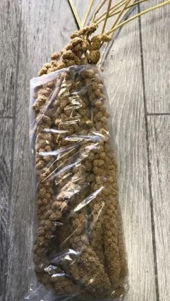 Franske Gule Hirsekolber 10 stk