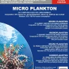 Frostfoder Microplankton 100 gram