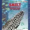 Frostfoder Ak Smelt 6 - 9 cm Lancet fisk