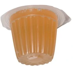 Frugt Jelly 17 g (Beetle Jelly)