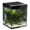 Glossy akvarie Cube 50x50x63 cm 132 L Sort