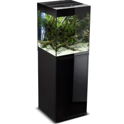 Glossy akvarie Cube 50x50x63 cm 132 L Sort