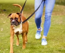 Halti OptiFit snudesele til hund stor