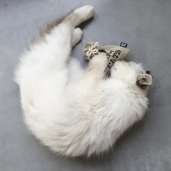 HappyCat Pouch med catnip