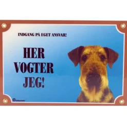 Her vogter jeg skilt med Airedale Terrier
