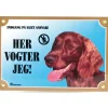 Her vogter jeg skilt med Setter