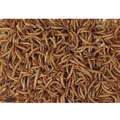 Hobby First Melorme tørret300 g til vildtfugle