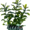 Hobby Bacopa 7 cm