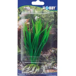 Hobby Cyperus 16 cm