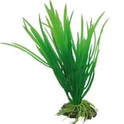 Hobby Cyperus 16 cm