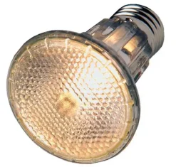 Hobby Diamond Halogen Floodlight 100 watt