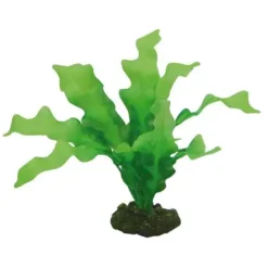 Hobby Echinodrus 20 cm