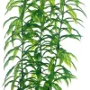 Hobby Heteranthera 34 cm
