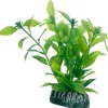 Hobby Hygrophila 13 cm