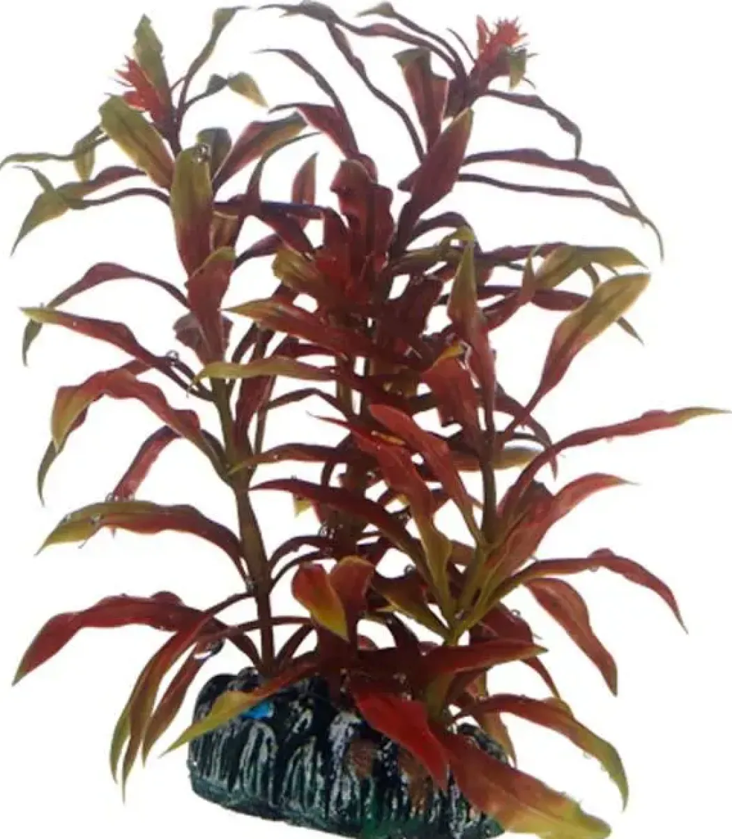 Hobby Nesaea 13 cm