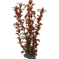 Hobby Rotala 30 cm