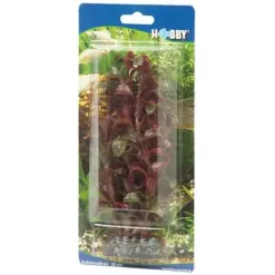 Hobby Rotala 30 cm