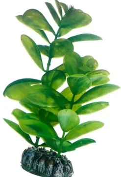 Hobby Saururus 16 cm