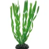 Hobby Vallisneria 20 cm