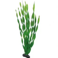 Hobby Vallisneria 46 cm