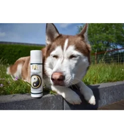 Hundefrisørens professionelle Duo Carbon shampoo 200 ml