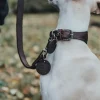 Hunter Aalborg Førerline til Hund Mørkebrun 20/100