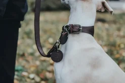 Hunter Aalborg Førerline til Hund Mørkebrun 20/100