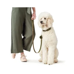 Hunter Aalborg Førerline til Hund Oliven 16/100