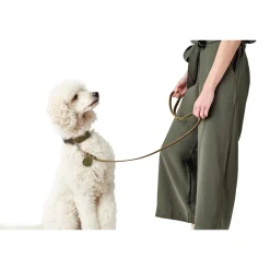 Hunter Aalborg Førerline til Hund Oliven 16/100