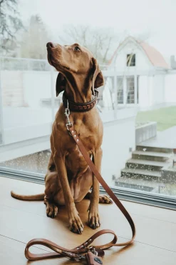 Hunter Aalborg Hundesnor Cognac 16/200
