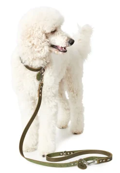 Hunter Aalborg Hundesnor Oliven 13/200